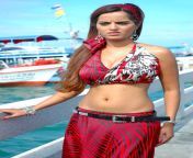 meghna patel big cleavage and hot deep navel spicy photos 3.jpg from meghna patel hot in