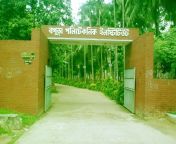 bogra polytechnic institute by all polytechnic college news.jpg from bangladeshi rima bogra college student kissing sex