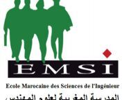emsi logo10.png from emsi
