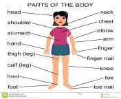 parts of the body.jpg from one by one body parts for choot mama gand