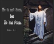 he is risen matthew 28 6 bible verse.jpg from 28 6