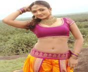 sheela hot latest.jpg from tamil actress yamini sharma sharma xxx nude