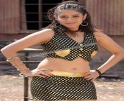 tamil actress sindhu tulani unseen navel photoshoot stills 12.jpg from tamil actress sinthu in rosapoo ravikaikari boob bou