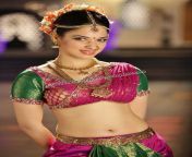 tamanna bhatia hottest deep navel show in bharatnatyam dress 3.jpg from actres hottest nadumu novel show