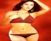 katrina kaif hot bikini 10.jpg from tamil actress katrina kaif xw saxy big boo