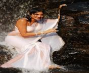hari priya hot wet navel show in white saree in yuvakudu movie 07.jpg from hari priya nangi photo
