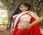 actress hot and sexy navel photos in saree 34.jpg from malayalam actress sreejaya saree navel