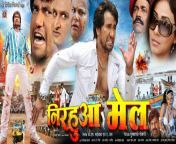 nirahua mail bhojpuri film poster.jpg from nirahua riksha wala 2 movie