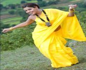 south actress madhu sharma in yellow saree actressinsareephotos blogspot com 056.jpg from bojpuri madhu s