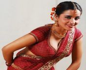 hot south indian aunty saree sexy hot south indian aunty naked hot south indian aunty wallpaper nude hot south indian aunty 2528742529.jpg from ကုလားမင်းသမီးndian longhair girl sexx south indian aunty sex images