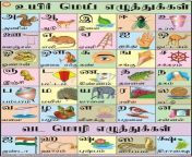 tamil alphabet 500x500.jpg from tamil 4