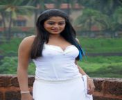 priyamani hot pics 02.jpg from tamil actress priyamani sexndian heroin