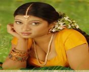 south actress hot saree navel stills 1.jpg from amma aka pundai