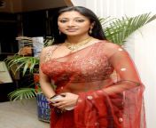 bengali actress paoli dam hot sexy navel in red saree.jpg from sex paoli dam