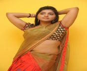 sanchitha padukone half saree stillssanchita shetty latest hd wallpapers download 3 713775.jpg from indian actress sanchitha 7351590