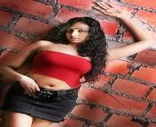 waheeda hot spicy navel.jpg from grade actress boob visible images rethuthu hot rethuthu hot bed scene indain grade hot hot actress boob visible images indian actress nipple visible imagesallavi sex video sex downloail com