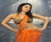 tamanna bhatia hot tini bra pictures 3.jpg from tamanna south movie hot picture