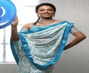 actress radhika hot saree pics 02.jpg from malayalam actress radhika sex vid