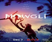 mowgli la legende de la jungle poster shere khan scaled.jpg from pojkart mowgli