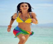 amy jackson sexy bikini picture fi7070808x300.jpg from tamil actress amy jackson sex xxx summer
