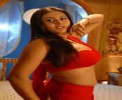 namitha jaganmohini hot sexy photo gallery 9 jpgw480h713 from tamil actress namitha jagan mohini sex xxxn tailo