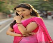 sri divya biography age height weight movies photos 4.jpg from www tamil actors sri divya sex videos downloadkulr