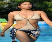 86369040.jpg from telugu actress in bra and panty