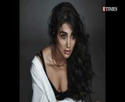 msid 91991165imgsize 27684 cms from tamil actor pooja xvideos free