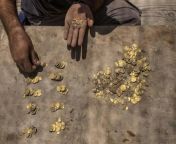 बिहार में खेत से निकल रहे सोने के सिक्के.jpg from पत्नी ने पति के सोने का उठाया फायदा
