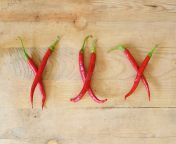 hot xxx made chili peppers wooden background 59736218.jpg from img chili xx