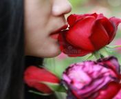 beautiful model woman kissing red rose flower beautiful model woman kissing red rose flower red lips 147468791.jpg from rose hot kiss v