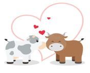 cute colorful cow bull couple illustration heart backdrop vector cartoon background 168833408.jpg from romantic liplockcow and bull sex videobhojpuri xxx ganaroll no 21 xxxwww xxx