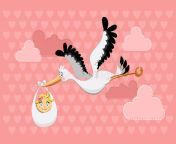 flying stork delivery baby girl 23231714.jpg from 10 baby girl sax 3gp medical delivery 3gpxx comजीजा और साली की चुदाई की विडियो हिन्दी