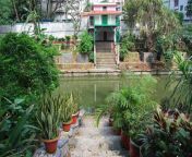 сад baldha один из самых старых ботанических садов в бангладеше обогащен 118297191.jpg from Я пользуюсь тем что я один чтобы мастурбировать и достичь богатого оргазма