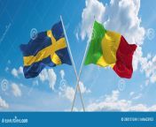 two crossed flags mali sweden waving wind cloudy sky concept relationship dialog travelling countries d 260151244.jpg from mali sweden