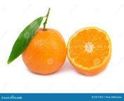 orane mandarins 23217263.jpg from orane