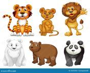 six wild animals illustration white background 33692058.jpg from six anmals 56