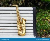 alto saxophone autumn park white bench 78277780.jpg from indian park sax