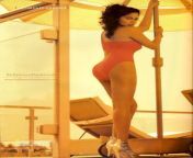 795 450.jpg from tamil actress sameera reddy nude hotsex video mypornw
