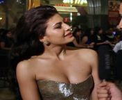 066 450.jpg from jacqueline fernandez sexy cleavage