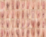 659 1000.jpg from different types of pussy