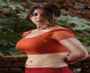 469 1000.jpg from richa panai nude fakes actress karthika nair sex