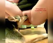 61eb60dd017e2 mov 5b.jpg from dogs lick pussy