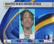 thqdallas police release image of man accused of attacking school bus driver from bus videos wank tam papa sexy