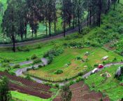places that you must visit in ooty tamilnadu.jpg from ooty 10 c