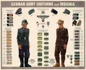 640px wehrmacht uniforms and insignia.jpg from nazi army