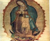 640px virgen de guadalupe1.jpg from http village virgin crying in first fuck 3gpww com
