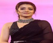 640px trisha krishnan at ps1 pre release event 3 cropped.jpg from asin vijay nude photo