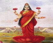 440px raja ravi varma goddess lakshmi 1896.jpg from lakshmi barmma