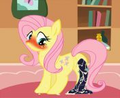 1038cfffc58419c26053a9bfee9fb4ce16ebdbe4 gif1470288 from mlp cum on toys